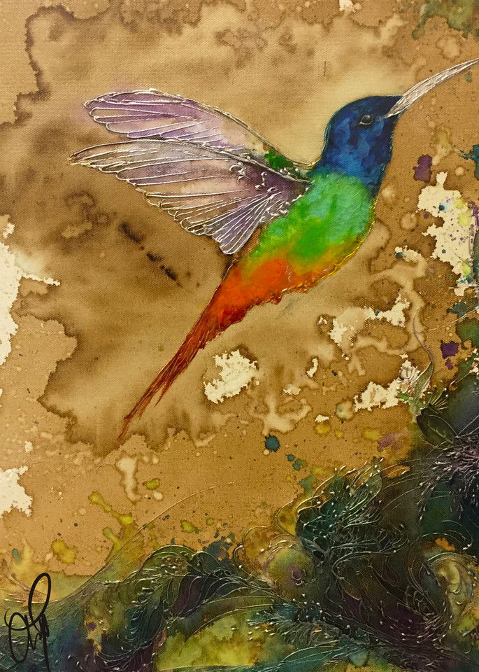 Rainbow Hummingbird