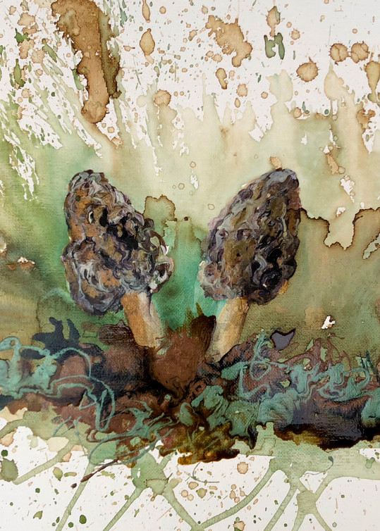 Morel Mushroom Original Artwork