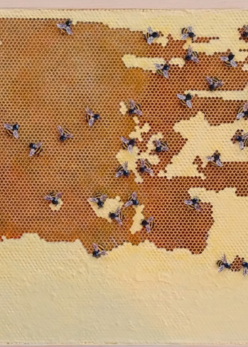 Bee Hive Art | Fine Art by Ellen Hart