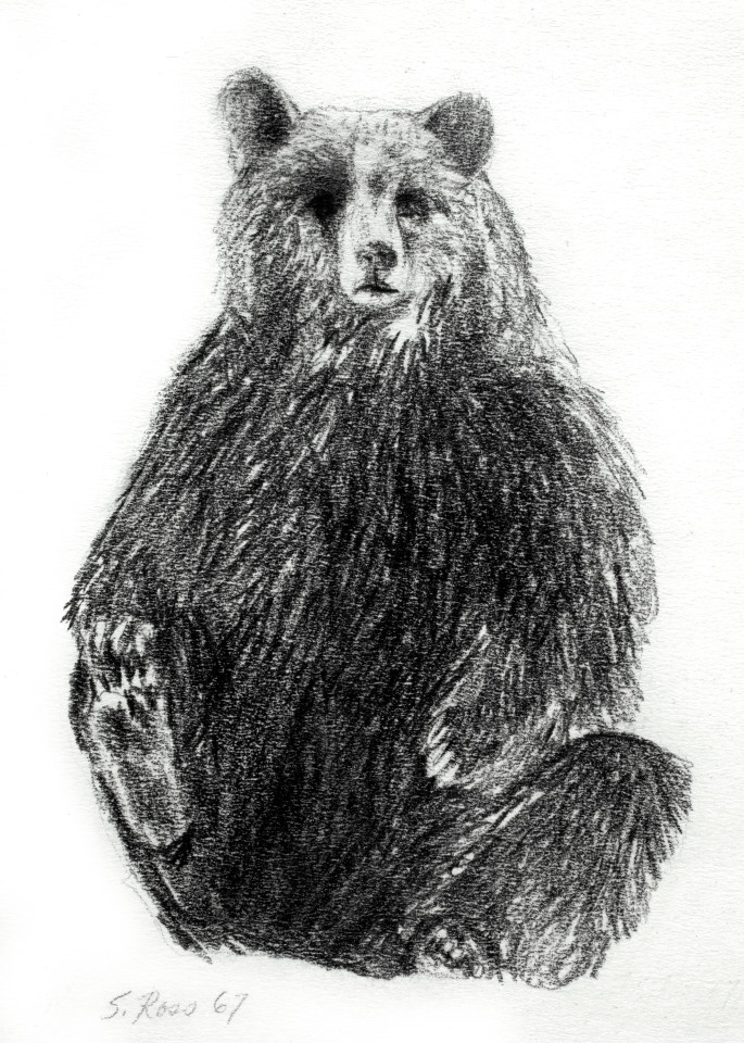 Bear Art | Susan Ross