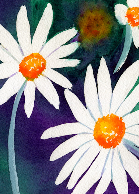 Say It With Flowers  Daisies Art | Jeanine Colini Design Art