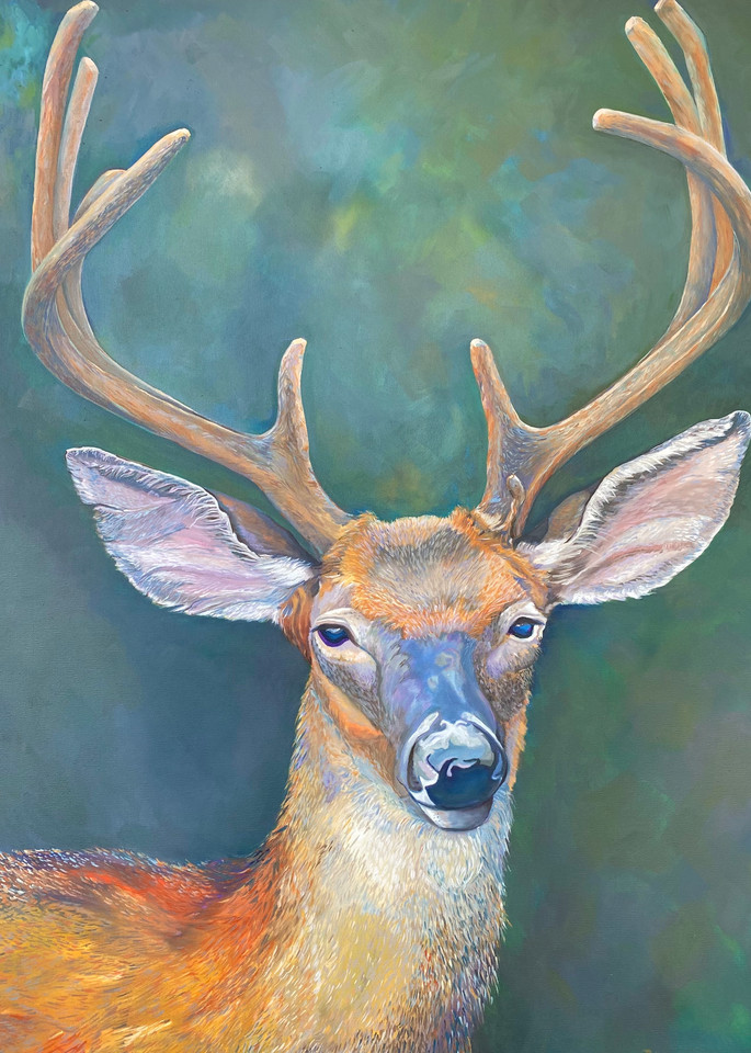Cimarron The Deer Art | Rebecca Pelley McWatters, Studio Artist