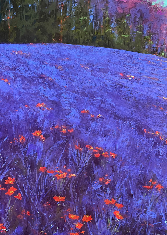 Wild Lavender Art | Kurt A. Weiser Fine Art