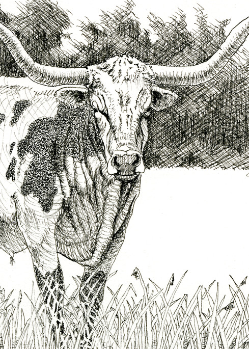 Longhorn Cow 2 Art | Greg Lewallen