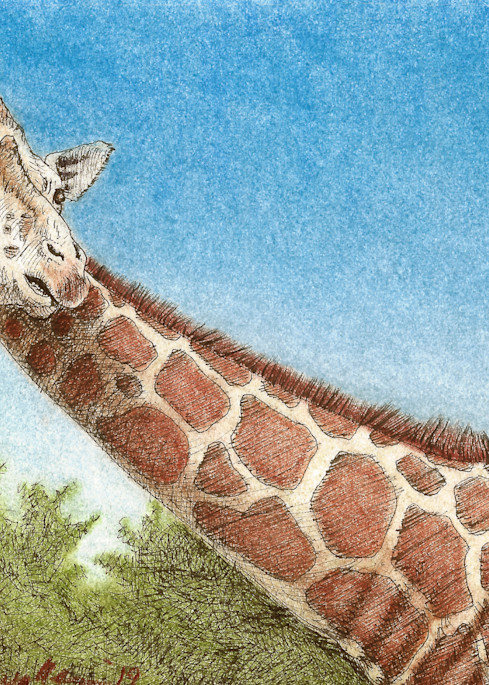 Giraffe 2 Art | Greg Lewallen