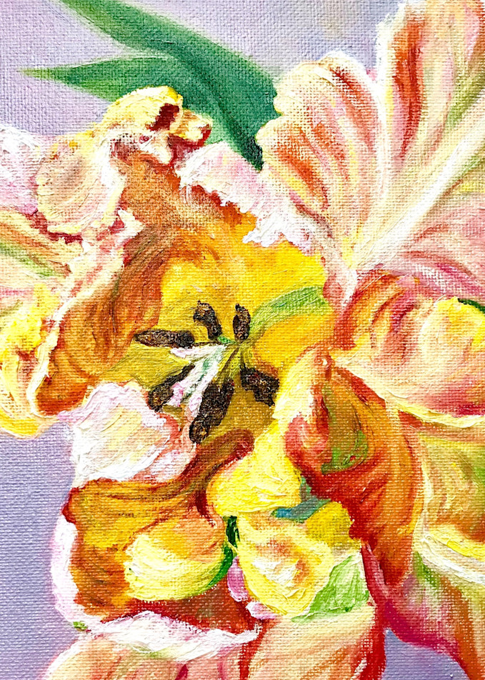 Parrot Tulip On Gray Art | Edi Matsumoto Fine Art