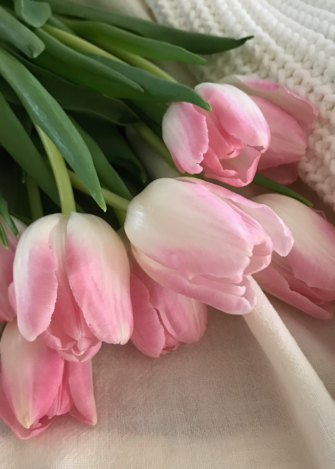 Tulips, textiles, photograph, print, pink-tulips