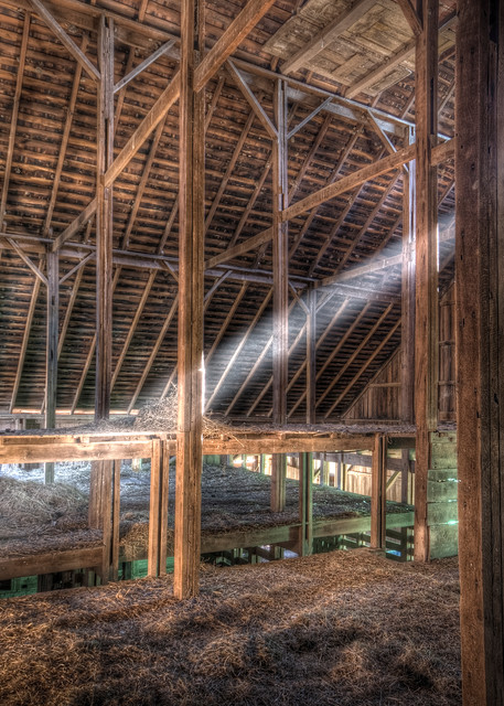Early morning in the loft of Whitesell's mule barn