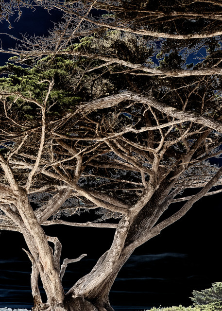 Cypress Carmel Beach #4 Photography Art | Pacific Coast Photo