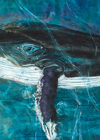 Gray Whale Art | lisaabbott.art