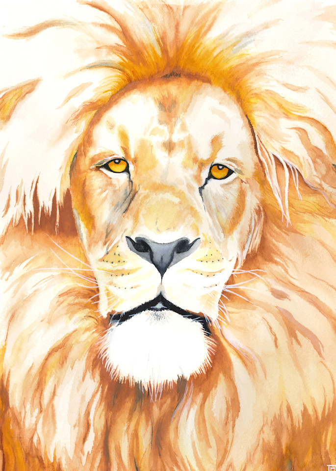 Lion Art | Chris Randall Creative