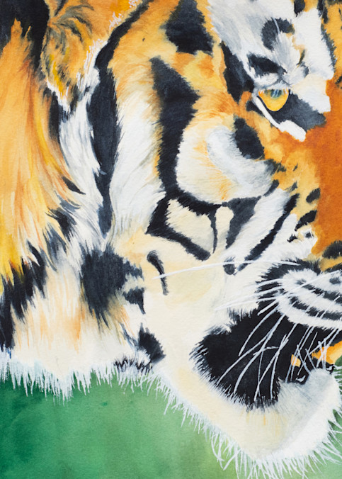 Tiger Art | Chris Randall Creative