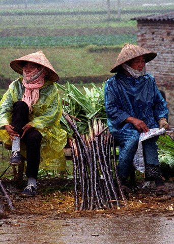 Four Women at a Rural Market, Hanoi