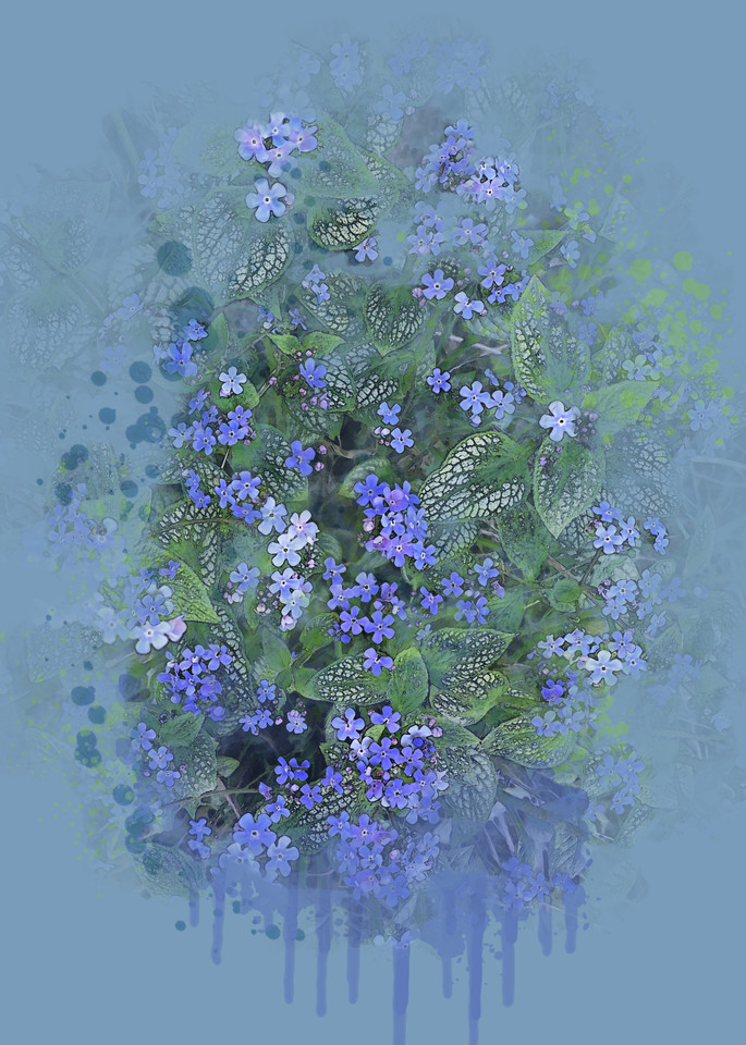 Peter's Forget Me Nots  Art | Art from the Soul