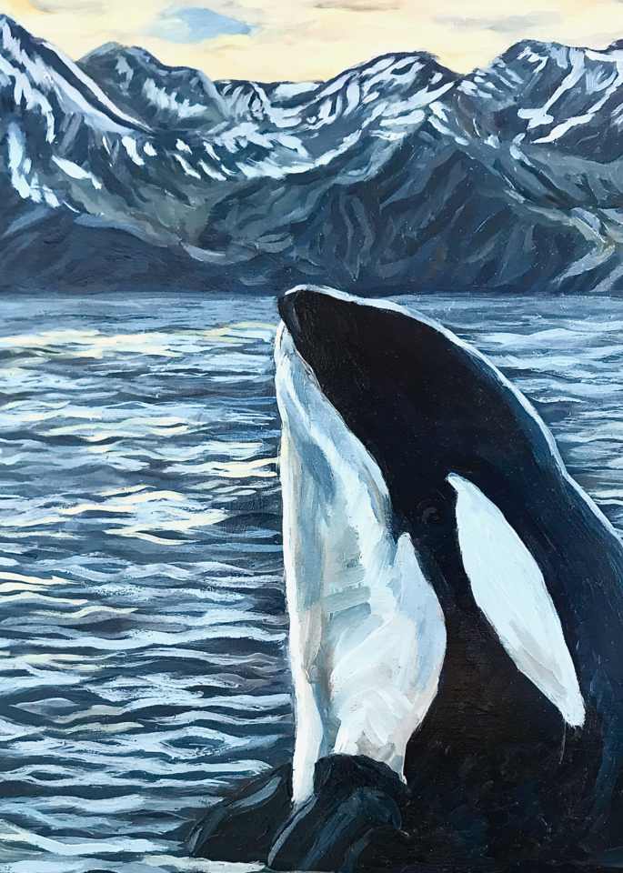 Orca Whale Alaska Ocean Mountain Art Print by Amanda Faith