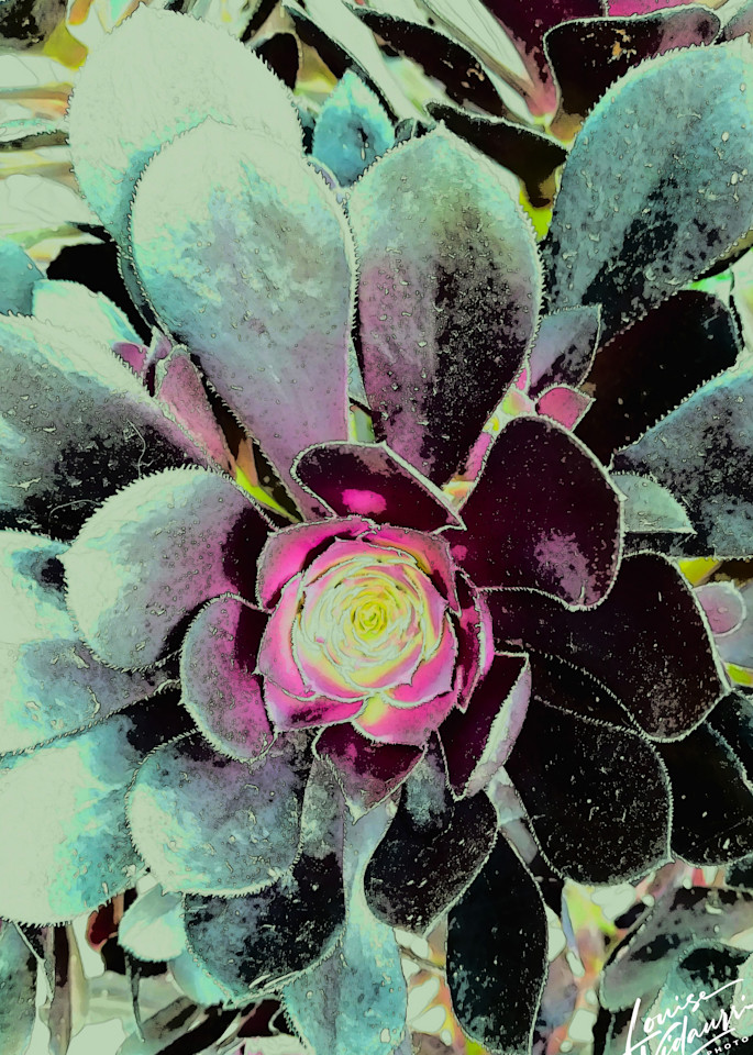 Grey Green Flower Photography Art | Louise Vidaurri Photo Art