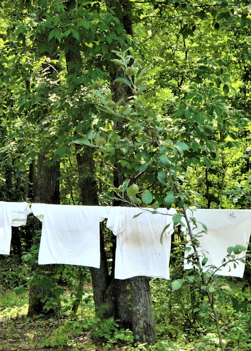 Laundry Day In Appalachia  Art | Jude Barton Fine Art