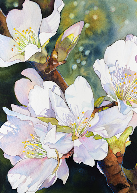 Almond Blossoms Oe Art | FiddleSong Studio
