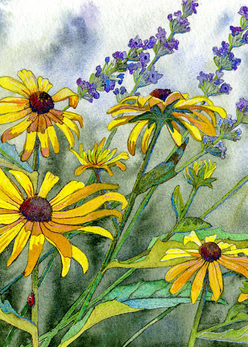 Black Eyed Susans With Lavender Oe Art | FiddleSong Studio