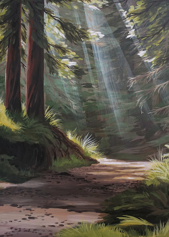 Forest Therapy ,The Redwood Path Art | leahroseart