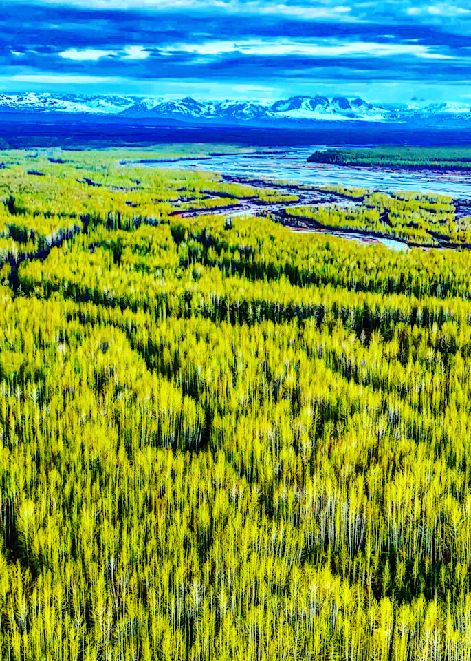 Summer Green Alaska Photography Art | Visionary Adventures, LLC