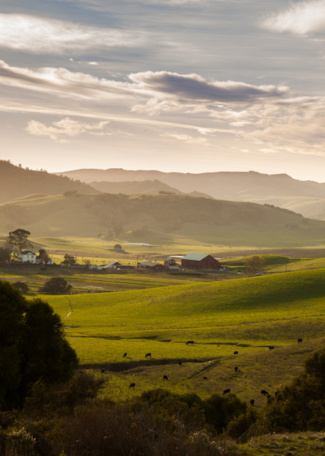 Pastoral landscape in Marin County