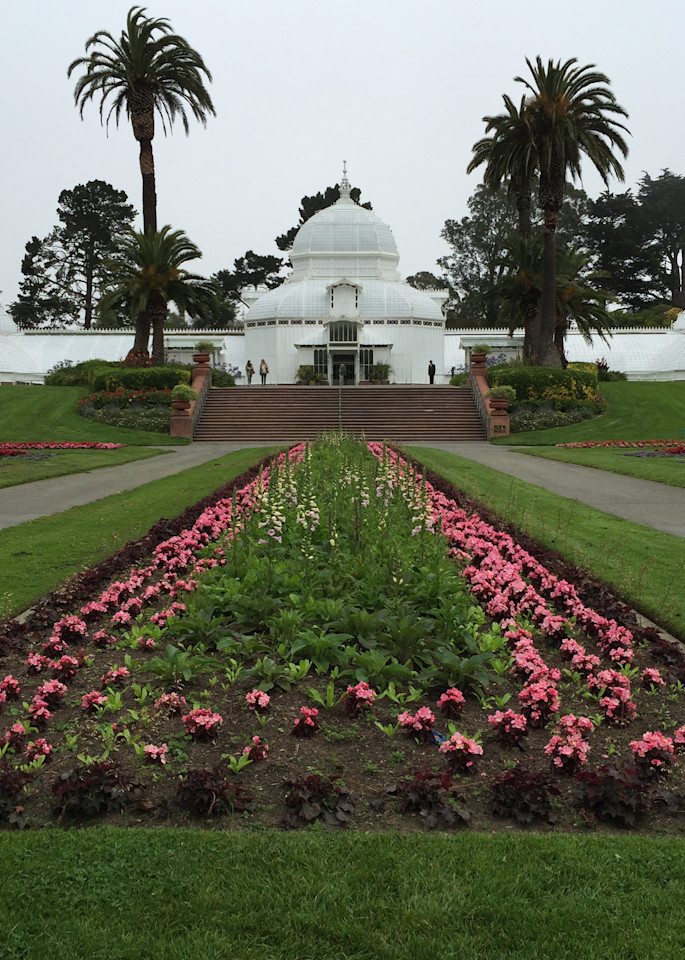 San Francisco Conservatory Of Flowers Photography Art | Kathleen Messmer Photography