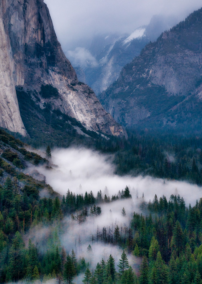 Mystical Yosemite Photography Art | CSY Photography