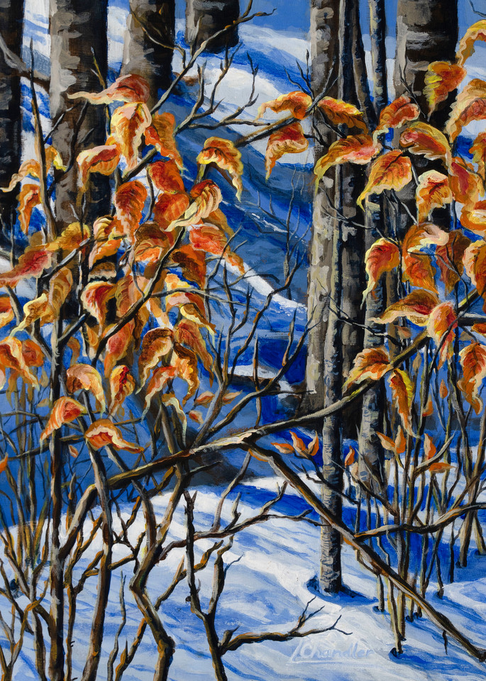 Snow, leaves, trees, birch, winter.