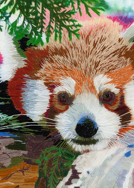 Red Panda Web Art | David Poyant Paintings
