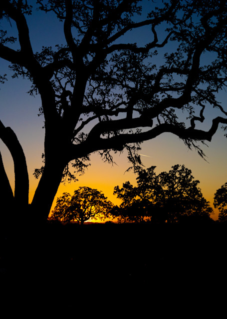 Paso Robles Sunset Photography Art | FocusPro Services, Inc.