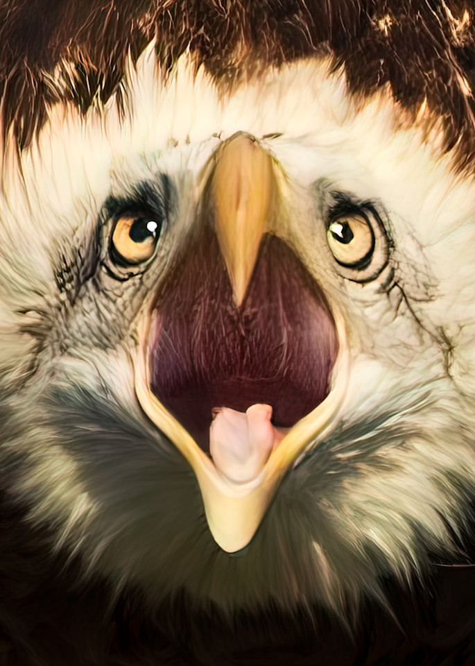 The Eagle Screams