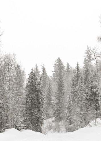 Winter Wonderland  Photography Art | Visual Arts & Media Group Corporation 