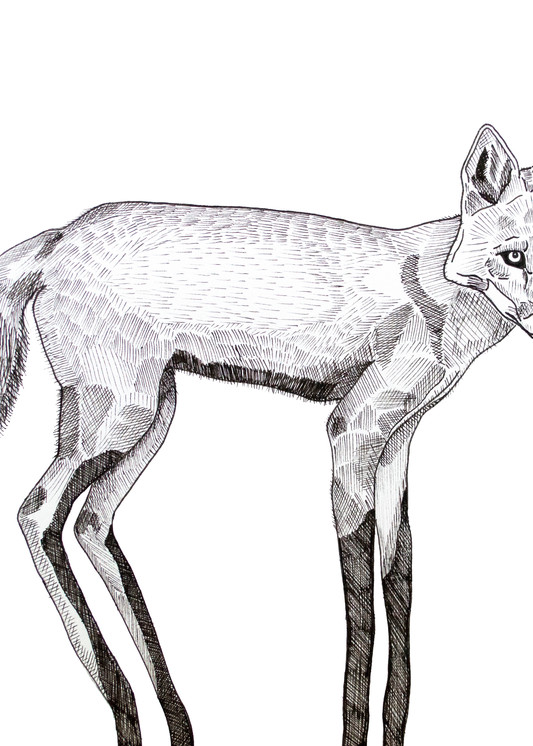 Long Fox Art | Mikey Rioux