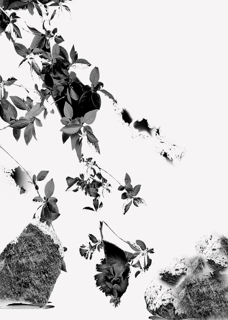 Zen garden contemporary photography.