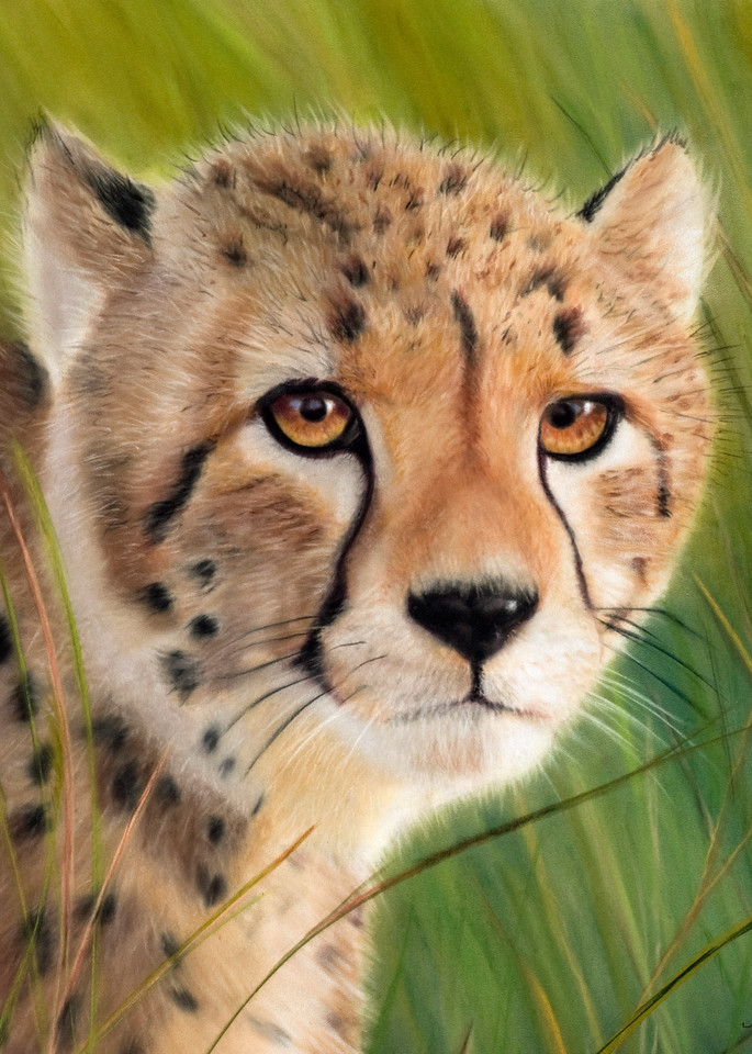 Cheetah painting Young Cheetah by Nancy Conant