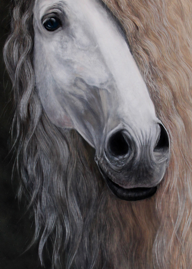 Devoro II by Nancy Conant with beautiful horse mane 