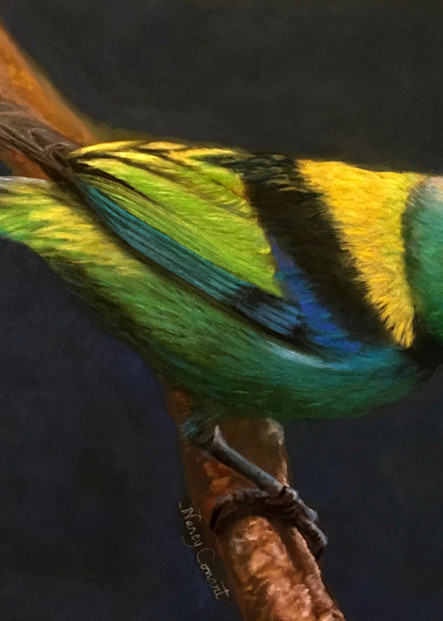 Your Heavenly Father Feeds Them by Nancy Conant is a green headed tanager