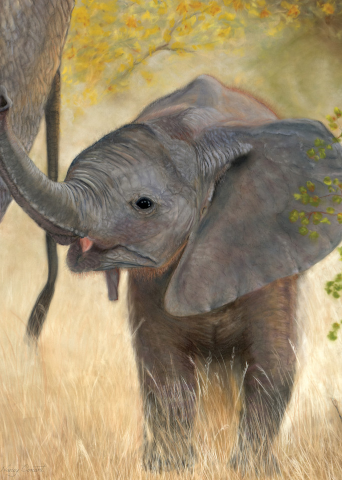 Baby elephant painting Tag-Along - Isaiah 40:11 by Nancy Conant