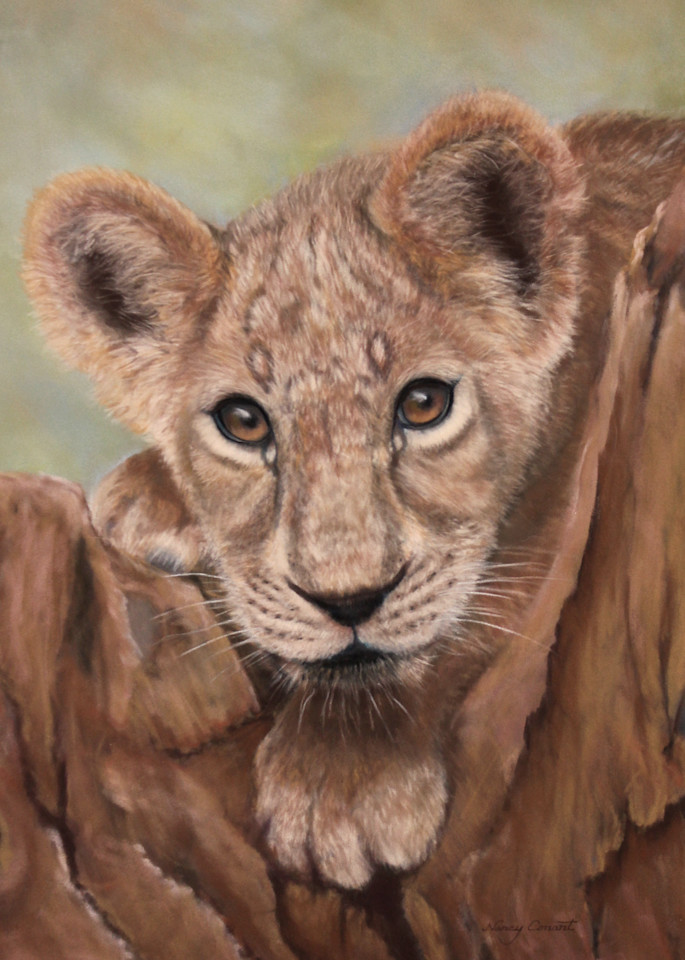 The Lion Cub by Nancy Conant 