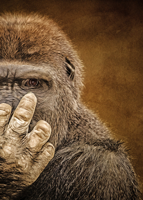"Flipping Off" Gorilla   Painted Photography Art | Julian Starks Photography LLC.