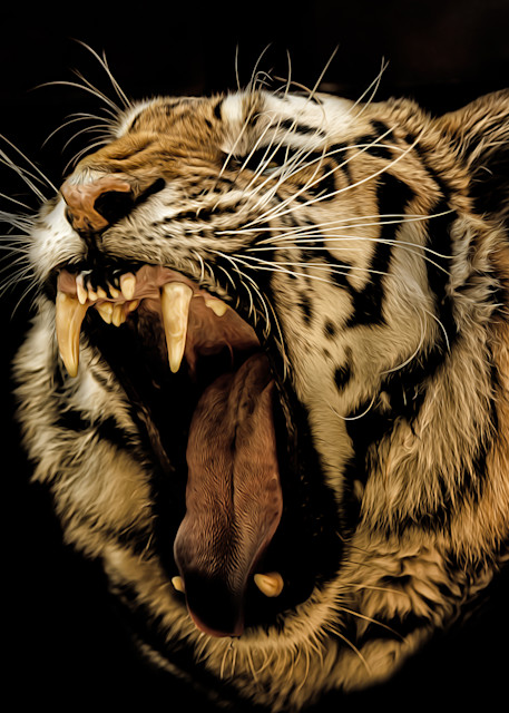 Roaring Siberian (Amur) Tiger   Painted Photography Art | Julian Starks Photography LLC.