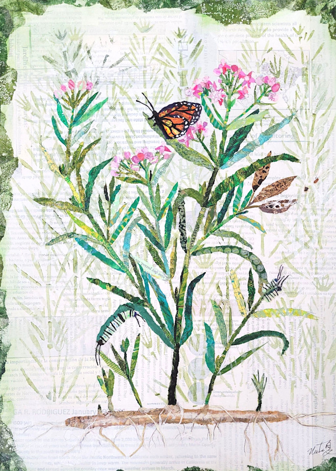 The Dance Of Life: Monarchs And Milkweed Art | Poppyfish Studio