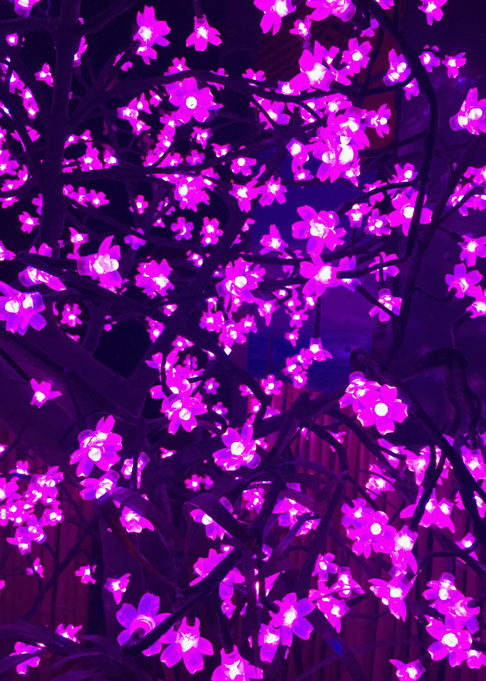 Purplesque Flowers Art | nancy iannitelli studio