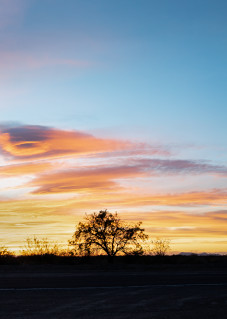 Why I Love The Desert   Panorama Photography Art | 4 points photography