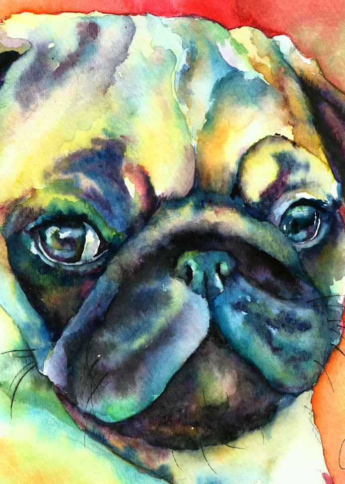 Fawn Pug watercolor pet portrait painting