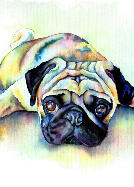 Colorful pug watercolor pet portrait painting.