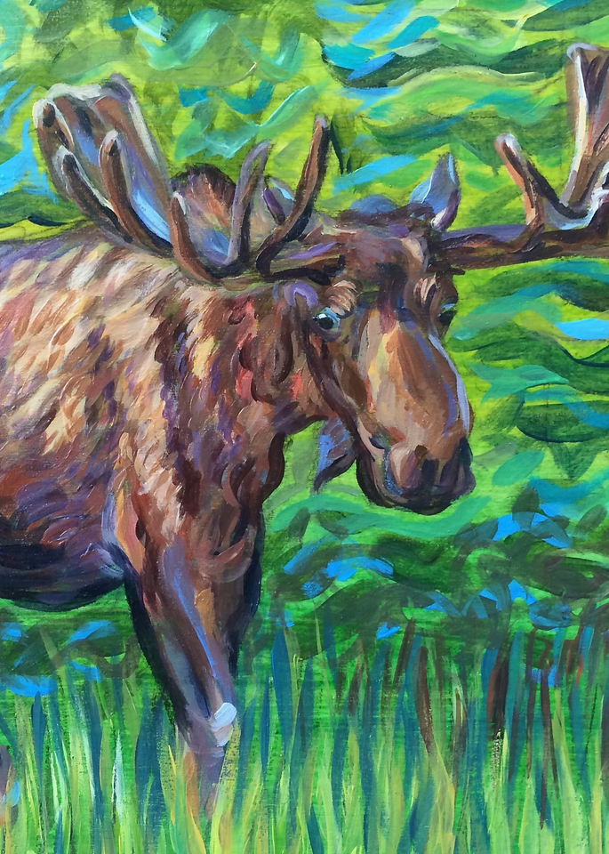 Bull Moose Alaska greenbelt art print by Amanda Faith Thompson
