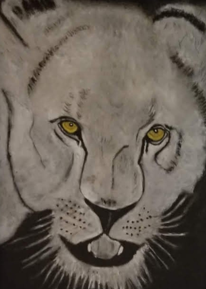 Lioness Art | Salvatore Ingoglia / Jbellarts