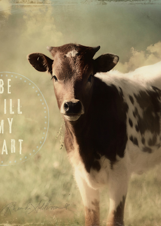 Be Still My Heart Longhorn Calf Art